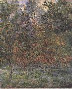 Claude Monet The Lemon Grove in Bordighera painting
